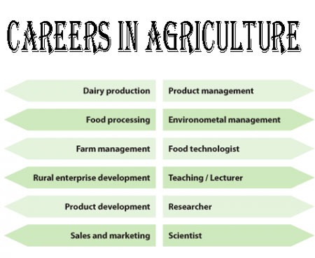 15 Career Opportunities In Agriculture To Pursue Today Career 15 Career Opportunities In Agriculture To Pursue Today Career