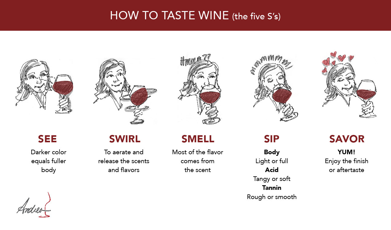 15 Wine Tasting Tips: Ultimate Guide To Wine Appreciation