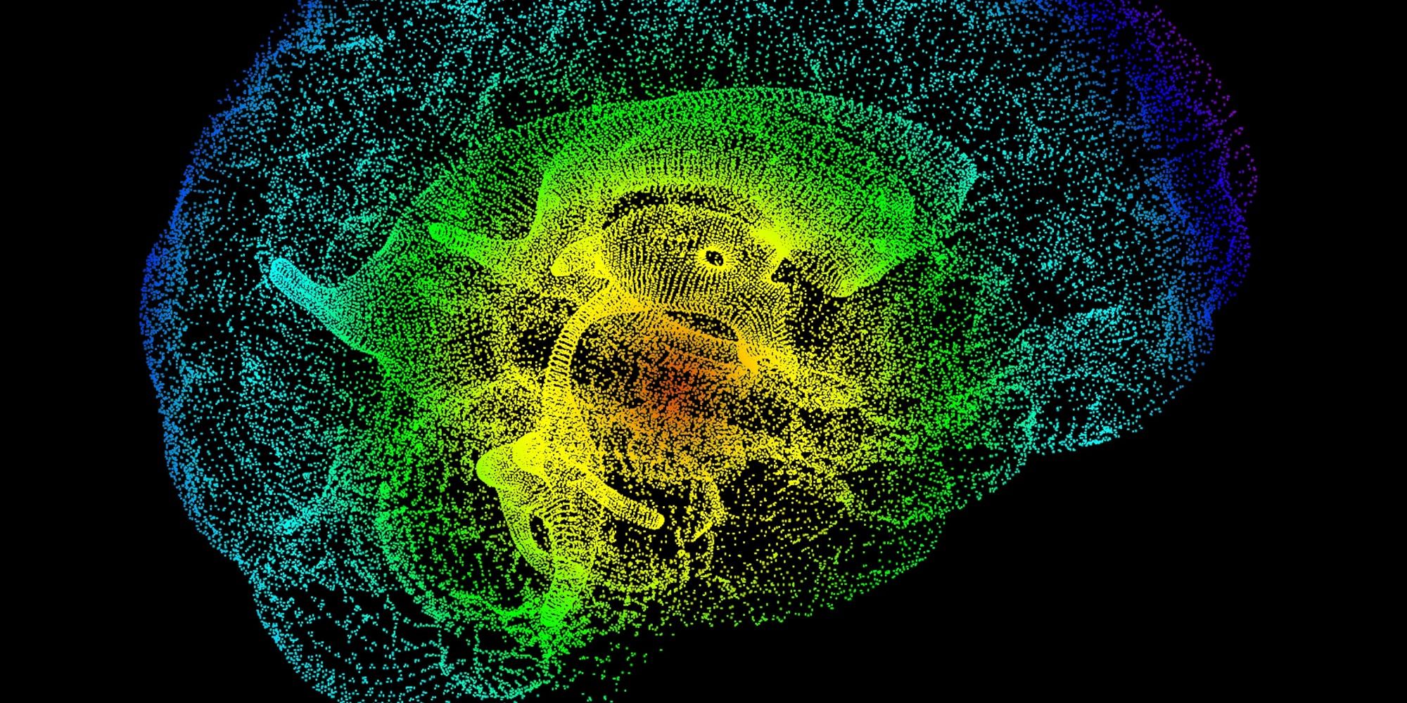 3 More Ways To Use Neuroscience To Improve Your Productivity Huffpost 3 More Ways To Use Neuroscience To Improve Your Productivity Huffpost