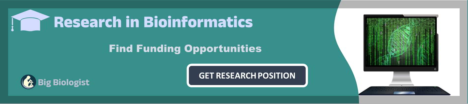 8 Phd Fellowships In Neuroscience Bioinformatics Life Sciences The 8 Phd Fellowships In Neuroscience Bioinformatics Life Sciences The