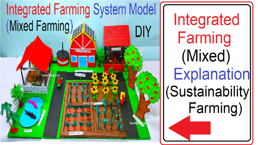 Agriculture Model Making Diy Science Project Organic Farming Agriculture Model Making Diy Science Project Organic Farming