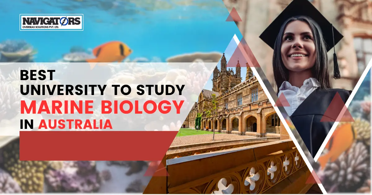 Best University To Study Marine Biology In Australia Navigators Overseas Best University To Study Marine Biology In Australia Navigators Overseas
