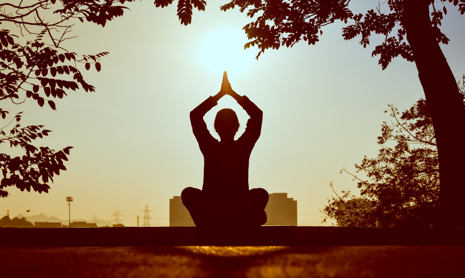 Embark On A Journey Of Chiropractic Healing With Discover Health Embark On A Journey Of Chiropractic Healing With Discover Health