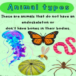 Grade 5 Natural Science Term 1 Posters Teacha Grade 5 Natural Science Term 1 Posters Teacha