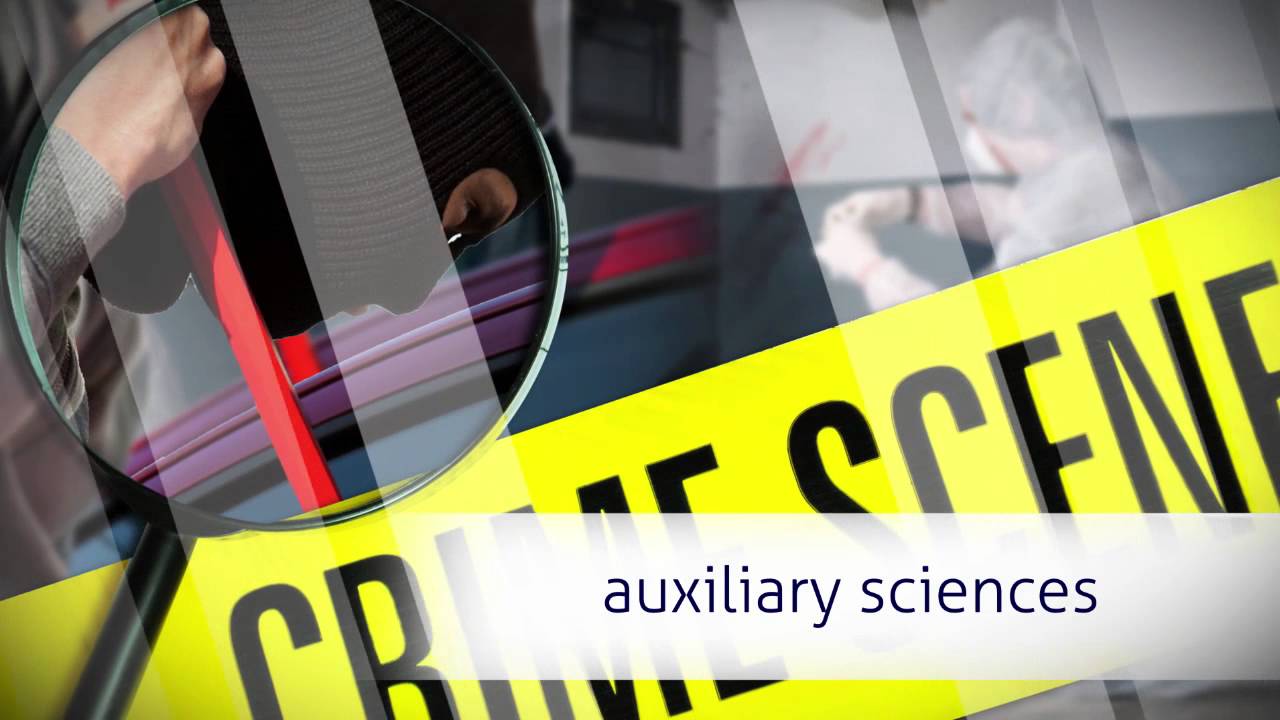 Introduction To Criminology By The Professor Youtube Introduction To Criminology By The Professor Youtube