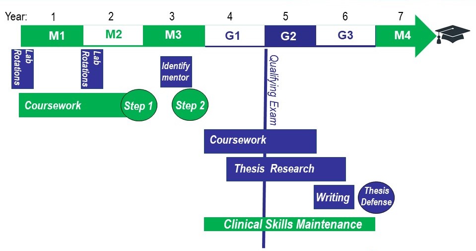 Md Phd Programs Is The Combined Degree Worth It Md Phd Programs Is The Combined Degree Worth It