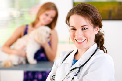Online Veterinary Degrees