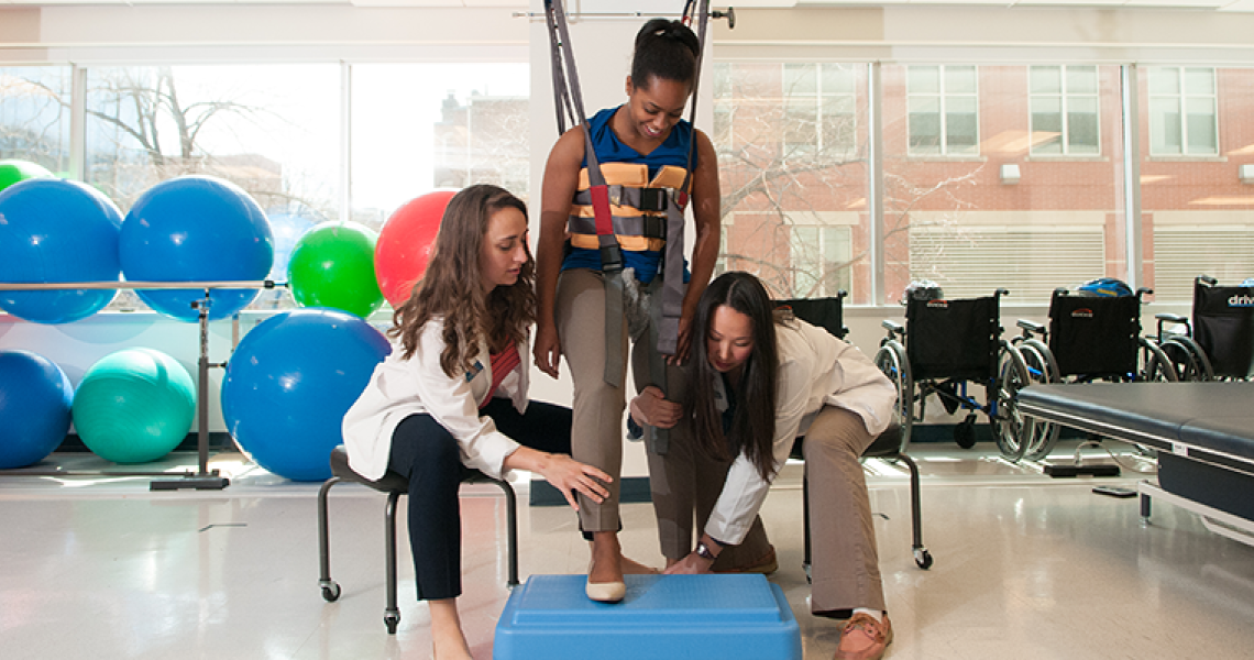 Physical Therapy Dpt Find Your Degree Physical Therapy Dpt Find Your Degree