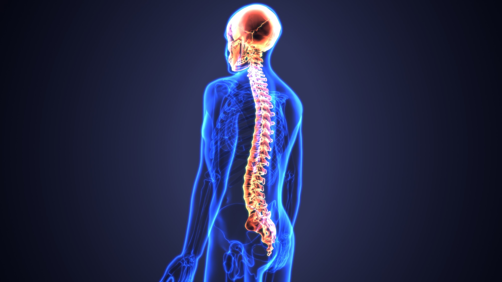 The Best Chiropractic Care Tips For Optimal Spine Health The Best Chiropractic Care Tips For Optimal Spine Health