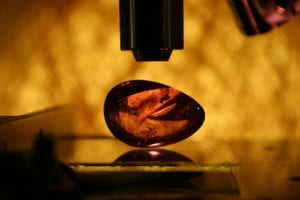 The Microscope A Guide For Gemologists International Gem Society The Microscope A Guide For Gemologists International Gem Society