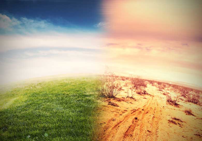 Ultimate 7 Climate Change Masters Programs Now