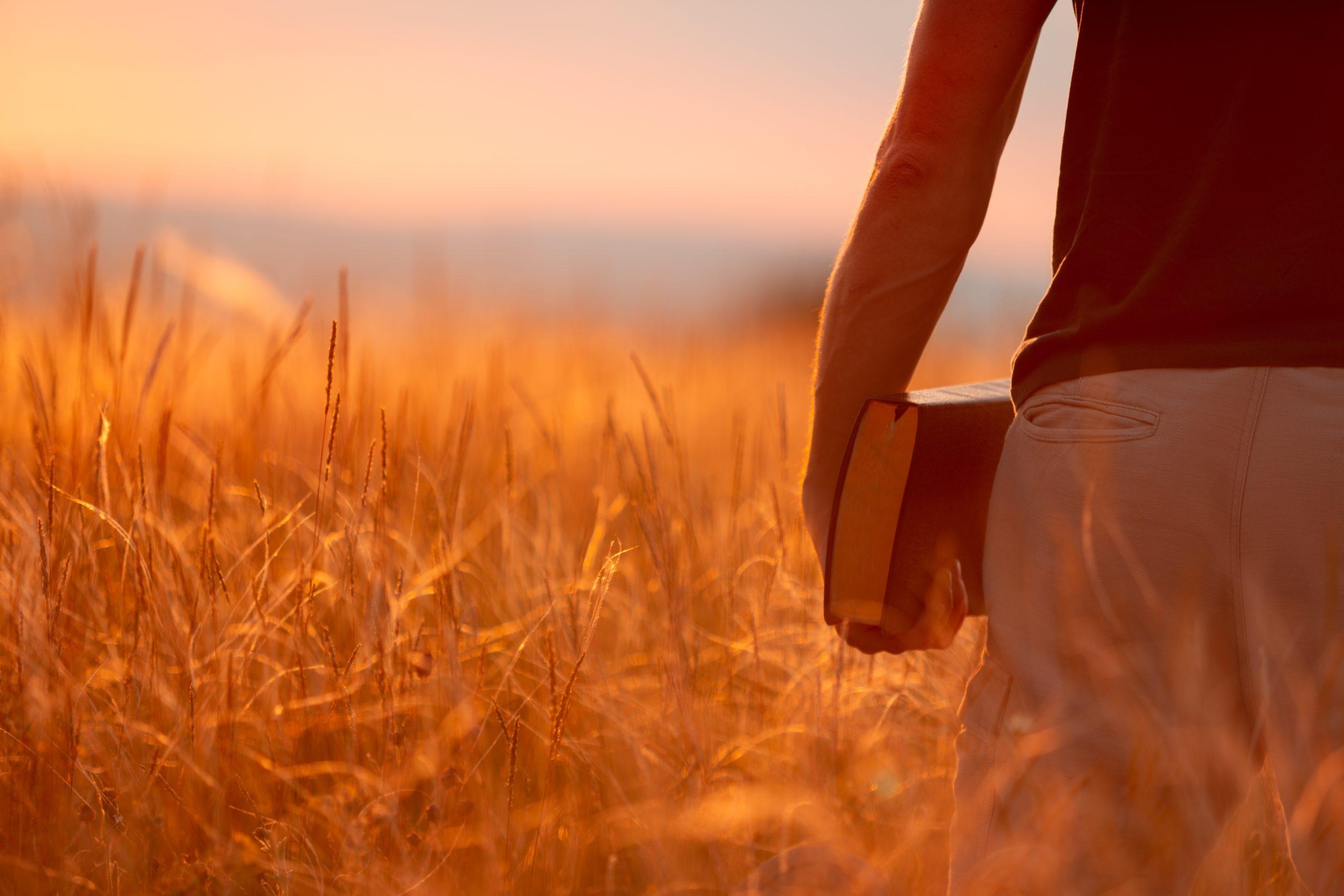Ultimate Guide To Theology Degrees: Start Today!