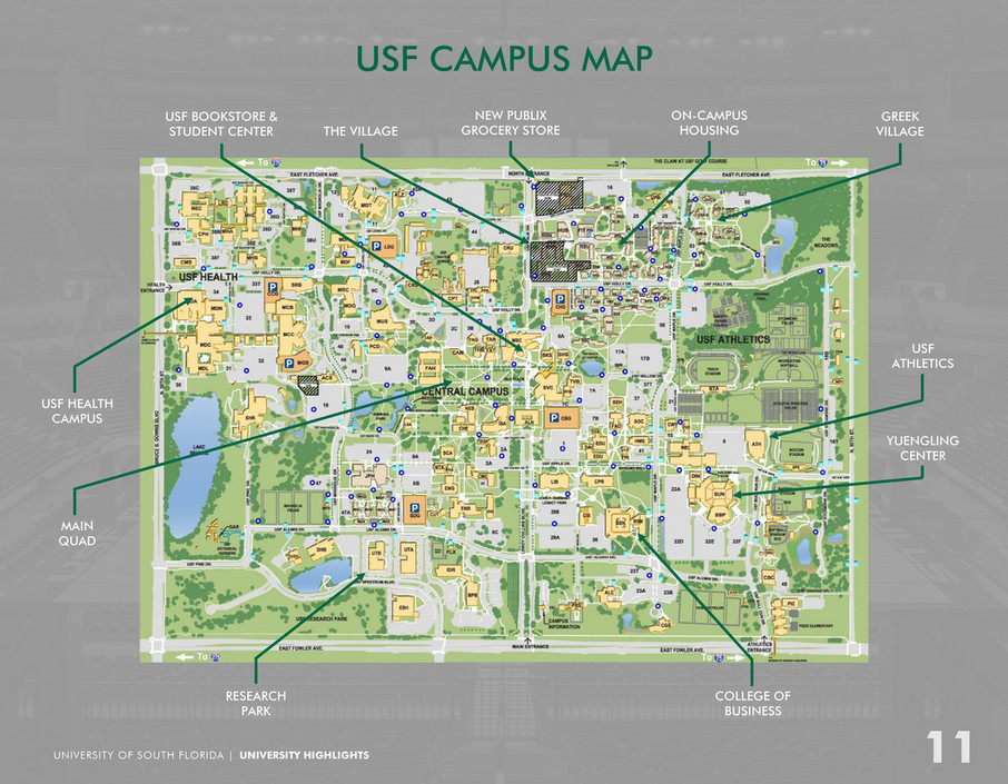 Usf Campus Usf Campus