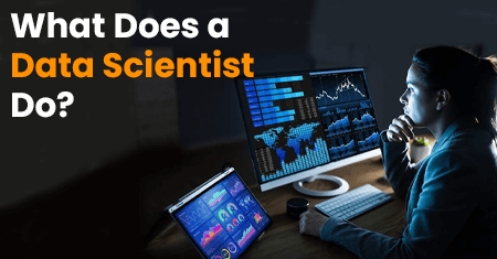 What Does A Data Scientist Do Birchwood University What Does A Data Scientist Do Birchwood University
