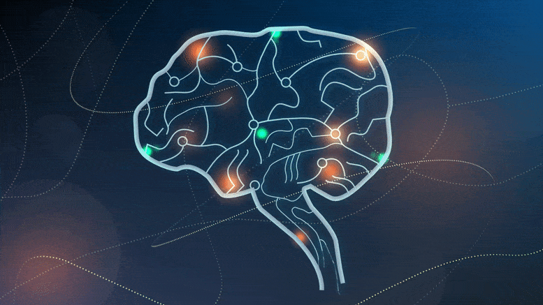 Working Memory How The Brain Focuses On What S In Mind Working Memory How The Brain Focuses On What S In Mind